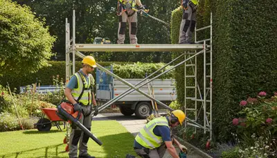 Arlington, TX tree trimming and landscaping service for residential outdoor property care