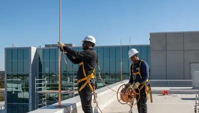 Arlington, TX arborist installs lightning protection on a tree for storm safety