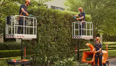 Arlington, TX shrub removal service clearing overgrown shrubs for a neat, safe landscape