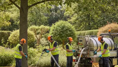 Tree fertilizing service in Arlington, TX for healthier, stronger trees